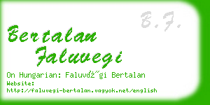 bertalan faluvegi business card